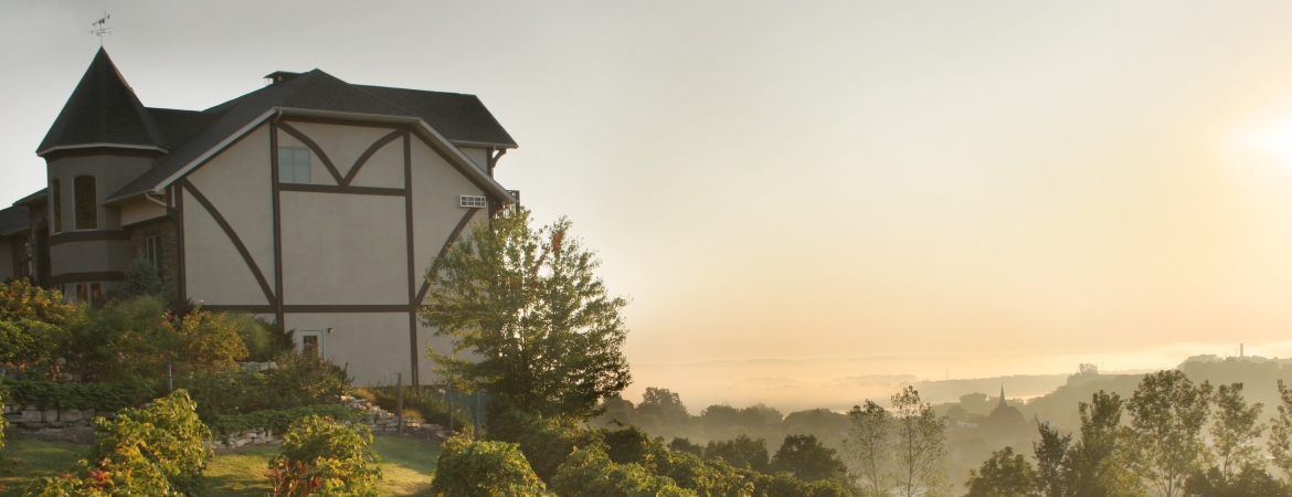Hermann Hill Vineyard