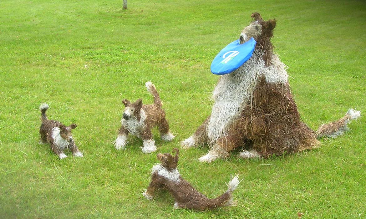 Sheltie Champion & Three Pups, Killington Hay Festival, Killington, VT