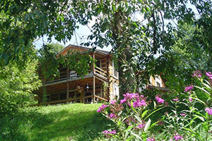 Snug Hollow Farm Bed & Breakfast